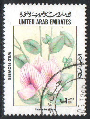 United Arab Emirates Scott 626 Used - Click Image to Close